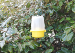 Wasp Trap 15 1