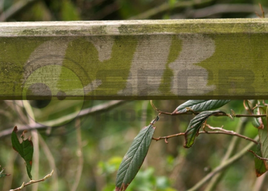 Baticlean Cr Gate Wood Green