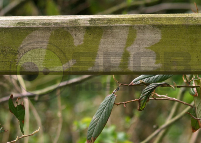 Baticlean Cr Gate Wood Green